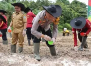 Gerakan Serentak Tanam Jagung, Lamandau Optimalkan Lahan 60 Hektare