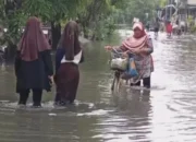 Hujan Deras Semalaman, Ratusan Rumah Di Kota Tegal Terendam Banjir