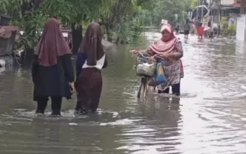 Hujan Deras Semalaman, Ratusan Rumah Di Kota Tegal Terendam Banjir