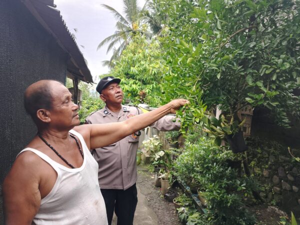 Jaga Ketahanan Pangan, Polri Dampingi Warga Pekutatan Kelola Pekarangan Bergizi