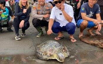 Kapolres Jembrana Terima Penghargaan Bksda Bali, Wujud Peduli Satwa