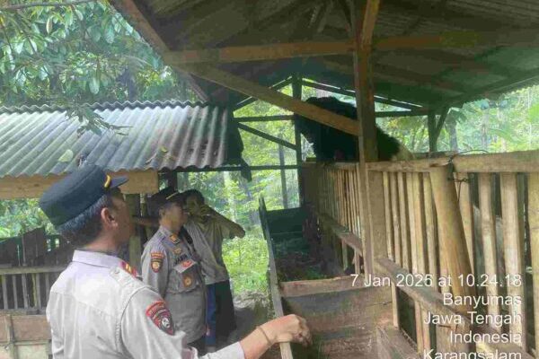 Kapolsek Kemranjen Polresta Banyumas Sambangi Peternak Kambing untuk Antisipasi Penyebaran PMK