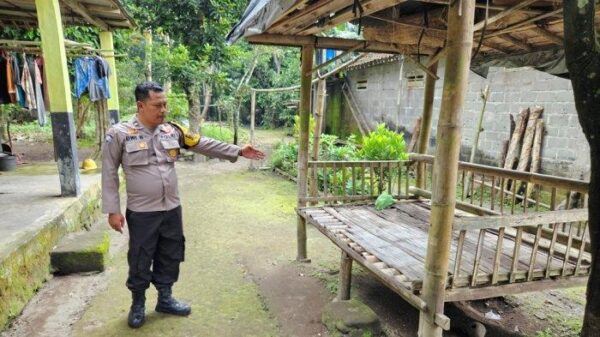 Bayi Perempuan Ditemukan di Gazebo Rumah Warga Magelang, Polisi Turun Tangan