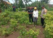 Kemandirian Pangan Jadi Fokus Polres Jembrana Lewat Pekarangan Pangan Bergizi