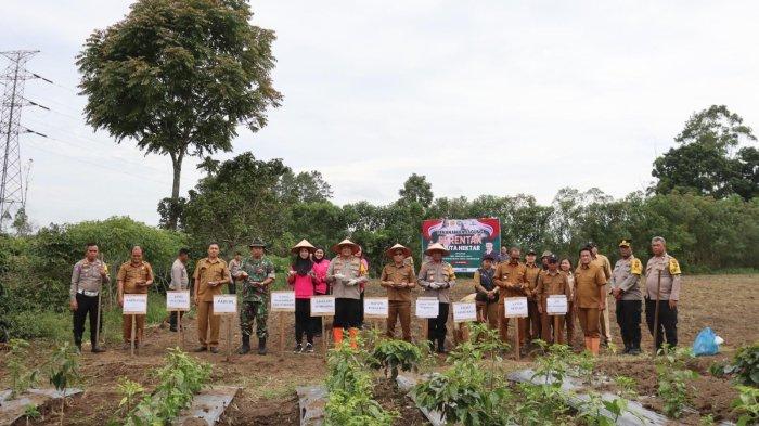 Kolaborasi Untuk Negeri, Kapolres Humbahas Tanam Jagung 1 Juta Hektar