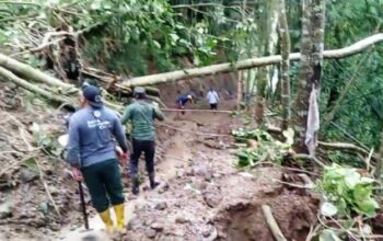 Longsor Tutup Jalan Penghubung 2 Dusun Di Sumowono, Pejalan Kaki