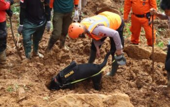 Longsor Di Jateng: Tim K 9 Temukan Jenazah Bayi Yang Tertimbun