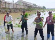 Optimalisasi Lahan Di Batang, Polda Jateng Dukung Program Swasembada Pangan