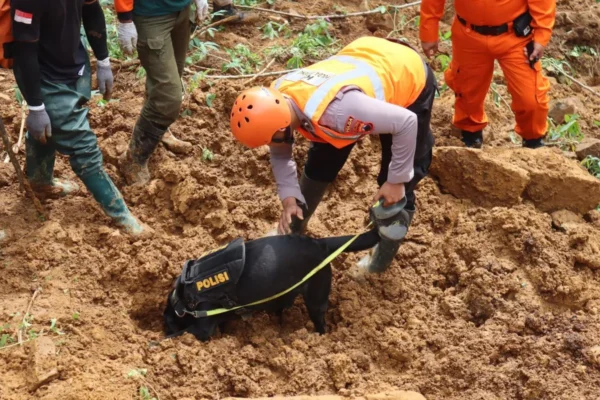 Pekalongan Diguncang Longsor, Tim K 9 Polda Jateng Temukan Bayi Yang