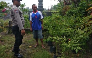 Pekarangan Bergizi, Solusi Ketahanan Pangan Dari Bhabinkamtibmas Yehembang Kauh