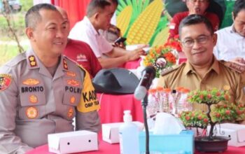 Pemkab Dan Polres Lamandau Kerja Sama Kembangkan Lahan Swasembada Jagung