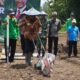 Penanaman Jagung 8 Hektare Di Karanganyar, Komitmen Wujudkan Swasembada Pangan