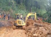 Pencarian Korban Longsor Di Pekalongan, 9 Orang Masih Hilang, Anjing