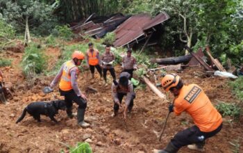 Pencarian Melalui Tim K 9: Jenazah Bayi 5 Bulan Ditemukan Setelah