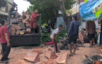 Pohon Tumbang Di Condrokusumo Semarang, Akibat Angin Kencang Yang Melanda