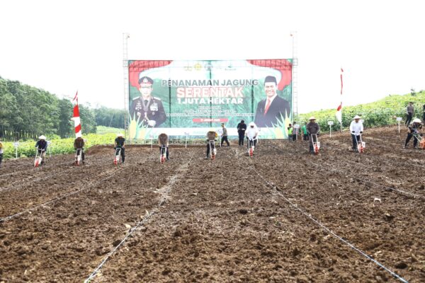 Polda Jateng Serentak Tanam Jagung di Ribuan Hektar Demi Swasembada Pangan