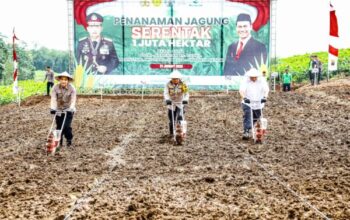 Polda Jateng Tunjukkan Aksi Nyata Dukung Pangan Nasional: Tanam Jagung