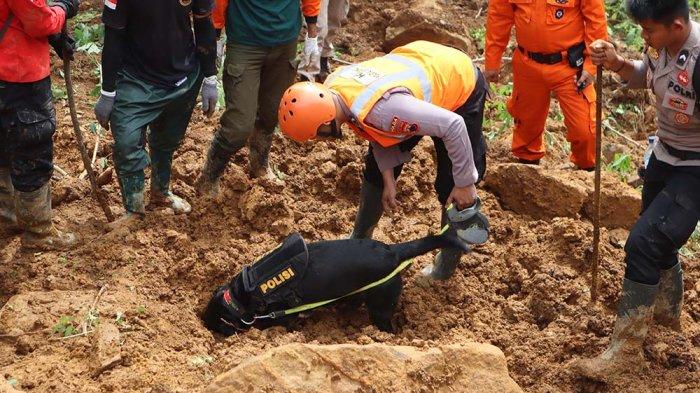 Polda Jateng Turunkan K9 dan 300 Personel Bantu Pencarian Korban Longsor di Pekalongan