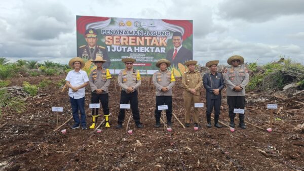 Polda Kalteng Tanam Jagung di 1 Juta Hektare Katingan untuk Ketahanan Pangan Nasional