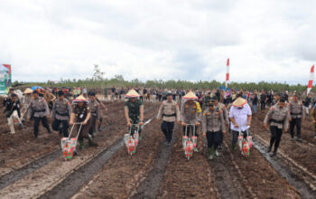 Polda Kalteng Wujudkan Asta Cita Presiden Dengan Menanam Jagung Di