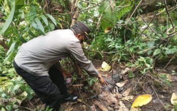 Polisi Bongkar Fakta Di Balik Penemuan Tengkorak Reno Di Purbalingga