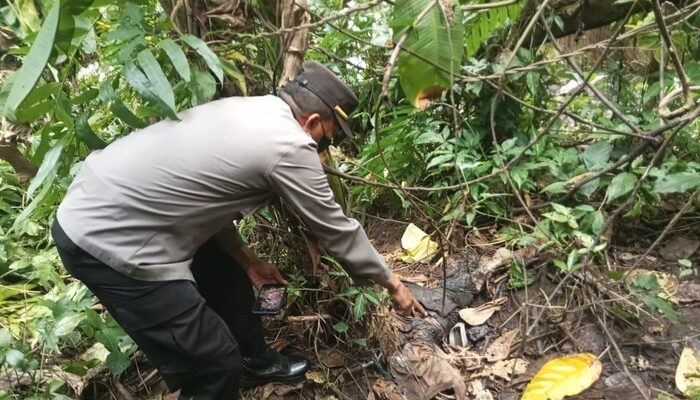 Polisi Ungkap Misteri Reno yang Ditemukan Tinggal Tengkorak di Purbalingga