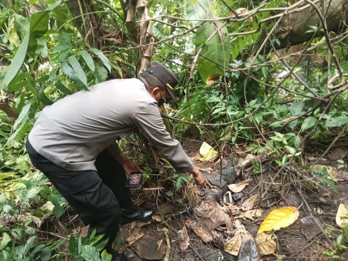 Polisi Bongkar Fakta Di Balik Penemuan Tengkorak Reno Di Purbalingga