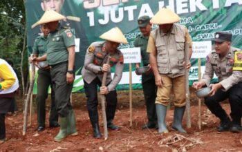 Polres Batang Kembangkan 100 Hektar Jagung Untuk Dukung Swasembada Pangan