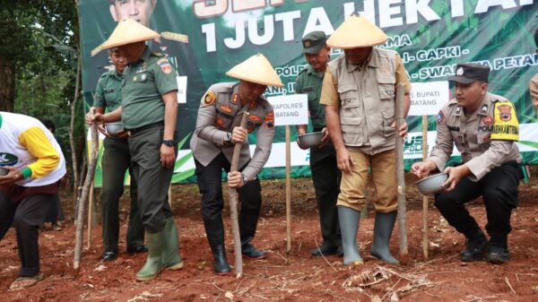 Polres Batang Kembangkan 100 Hektar Jagung Untuk Dukung Swasembada Pangan