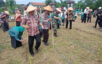 Polres Boyolali Mendukung Inisiatif Penanaman Padi Gogo Di Kalinanas