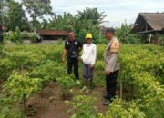 Polres Jembrana Dorong Ketahanan Pangan Lewat Program Inovatif Pekarangan Bergizi