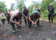 Polres Jembrana Kolaborasi Tanam Jagung 1 Juta Hektar Untuk Swasembada