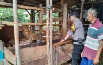 Polres Jepara Ambil Peran Dalam Pencegahan Kasus Pmk Di Wilayahnya