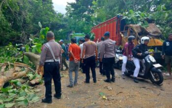 Polsek Gilimanuk Amankan Jalur Utama Usai Pohon Tumbang Halangi Jalan