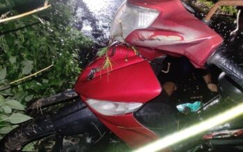 Pria Boyolali Meninggal Dunia Usai Kendaraannya Menabrak Pohon Tumbang Di