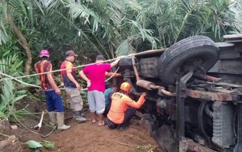 Tak Kuat Nanjak, Mikrobus Di Banjarnegara Terguling Dan Masuk Kebun