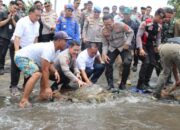 Terungkap! Penyelundupan Penyu Hijau Di Jembrana, Kapolda Bali Tak Beri