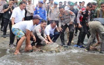 Terungkap! Penyelundupan Penyu Hijau Di Jembrana, Kapolda Bali Tak Beri