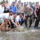 Terungkap! Penyelundupan Penyu Hijau Di Jembrana, Kapolda Bali Tak Beri