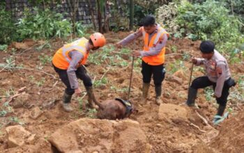 Tim K 9 Polda Jateng Sukses Temukan Jenazah Bayi Tertimbun Tanah