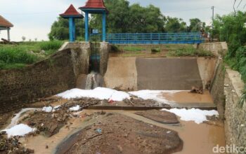 Uji Laboratorium Busa Di Bendung Bibis Pati: Hasil Dan Temuannya