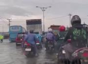 Wilayah Pantura Demak Semarang Tergenang Rob, Aktivitas Warga Terganggu