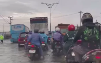 Wilayah Pantura Demak Semarang Tergenang Rob, Aktivitas Warga Terganggu