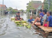 Aiptu Sumeri Manfaatkan Lahan Kosong Jadi Kebun Jagung, Kapolres Salatiga