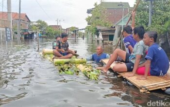 Aiptu Sumeri Manfaatkan Lahan Kosong Jadi Kebun Jagung, Kapolres Salatiga