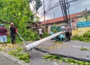 Angin Kencang Robohkan Pohon Dan Tiang Listrik, Jalur Malang Surabaya Macet