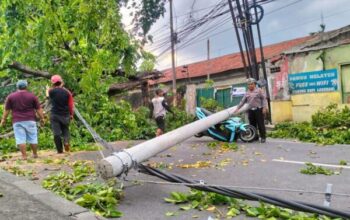 Angin Kencang Robohkan Pohon Dan Tiang Listrik, Jalur Malang Surabaya Macet