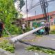 Angin Kencang Robohkan Pohon Dan Tiang Listrik, Jalur Malang Surabaya Macet