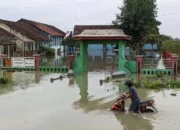 Banjir Ganggu Aktivitas, 8 Sekolah Di Kudus Hentikan Kegiatan Belajar