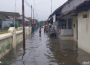 Banjir Di Kota Pekalongan Mereda, Genangan Tersisa Di 8 Area